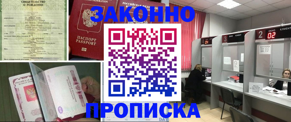 прописка в квартире в Камышлове